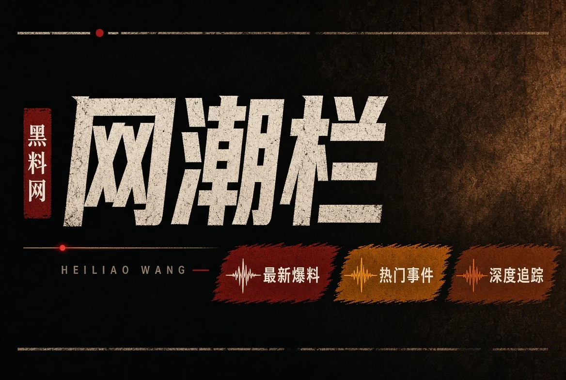 网潮栏栏目